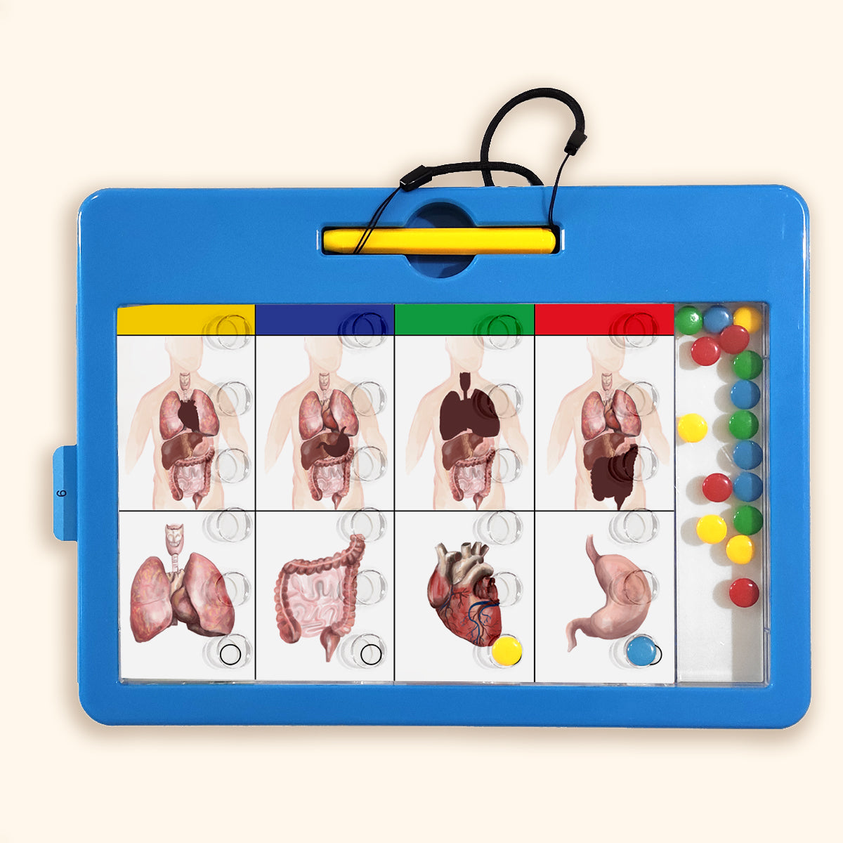 LOGIDOTS Magnetic Board