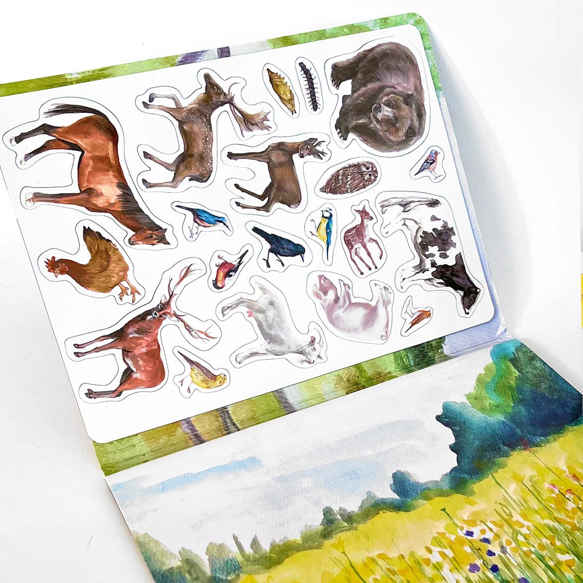 MAGBOOK - Animals - magnetic book