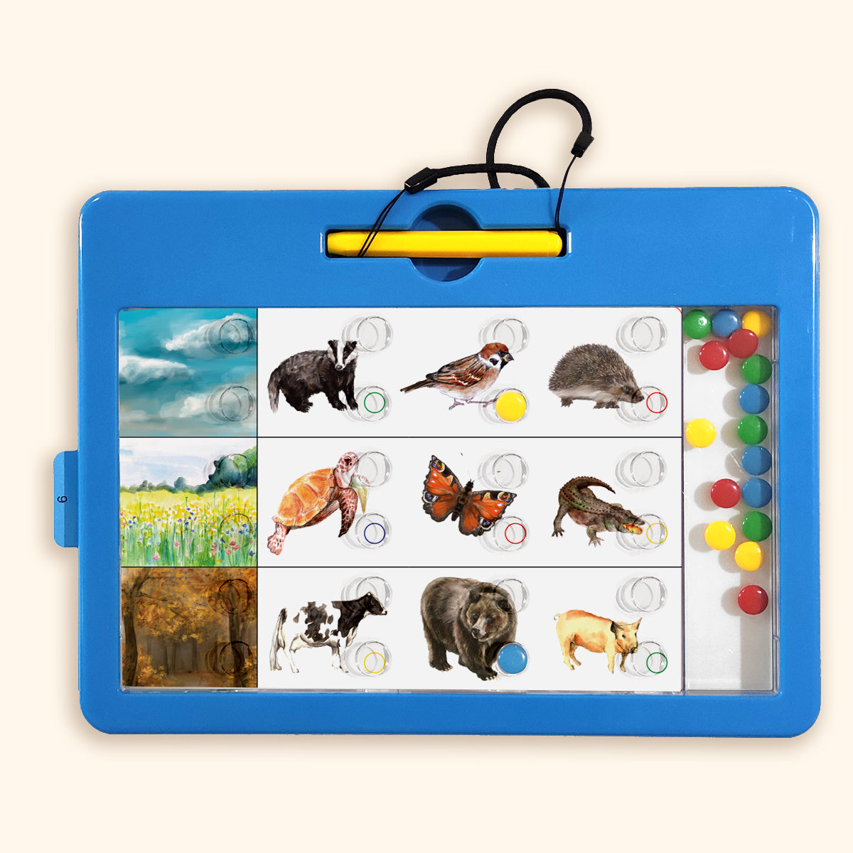 LOGIDOTS Magnetic Board